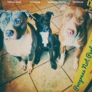 Meet your Posher, Beau